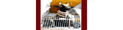 246. திருவல்லம்